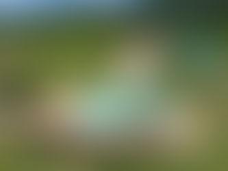 Melhores agências em bonito ms: Por que você deve se conectar com eles?