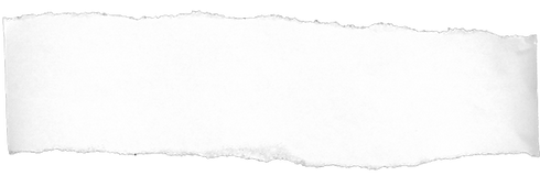 pngwing.com (25).png