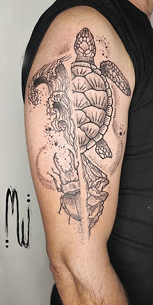 nicolas montage1 .jpg