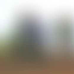 Street Rangers team up with Make Southend Sparkle