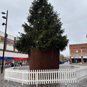Large Christmas tree located in Southend High Street with baubles, star and a white picket fence surrounding it.