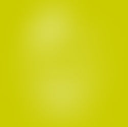 COVID-19 Fraud Watch