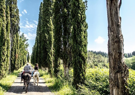 Mindful-Living-Tuscany