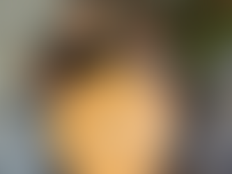 Koalas now in safe hands thanks to community grant