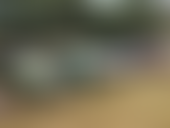 INTERNATIONAL MOKE DAY ON MAGNETIC ISLAND