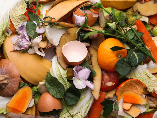 Sign up now to make the most of your grocery shop