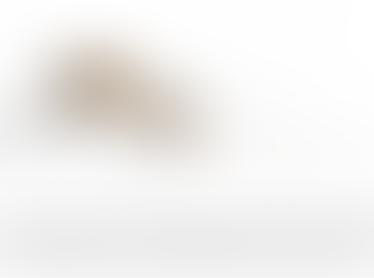 What is mosquito-borne Japanese encephalitis?