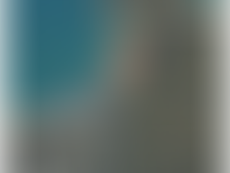 Coastal Works Horseshoe Bay