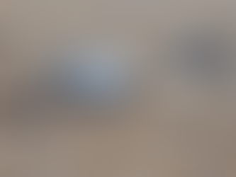 Council changes light to help baby turtles get out to sea