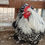 Thumbnail: english bred silver laced orpington chick chickens hen rooster cockrell