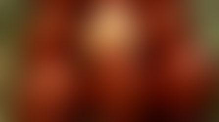 Sunny Side Up Ranch - Blogging