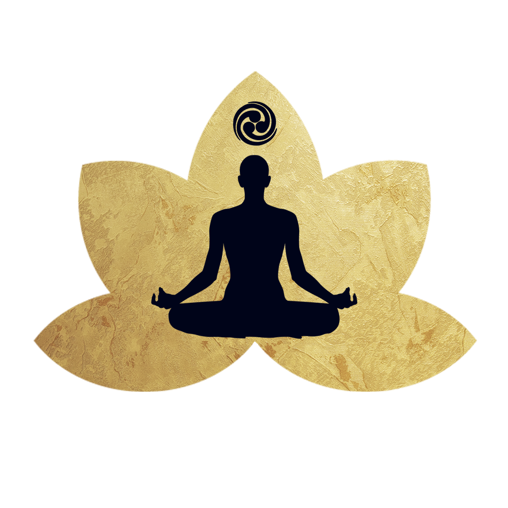 Formação de Professores de Meditação do Instituto Ísvara