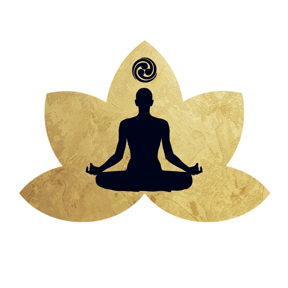 Formação de Professores de Meditação do Instituto Ísvara