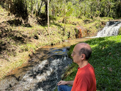 Esvaziar a mente na meditação. Você não precisa esvaziar a mente. Precisa parar de brigar com ela.
