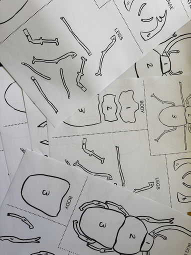 Bug templates created for collage workshops.