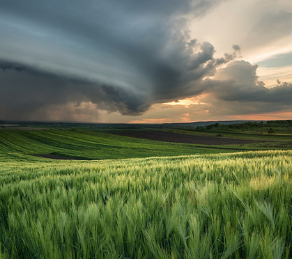 iStock-903874014.jpg