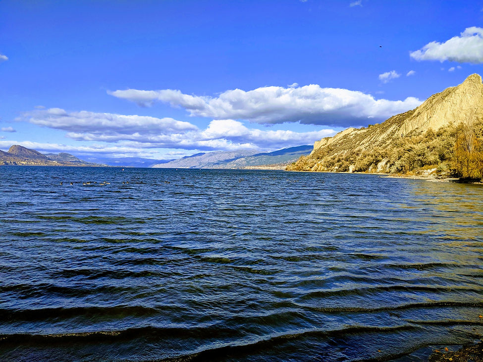MVIMG_20191110_121902-EFFECTS.jpg
