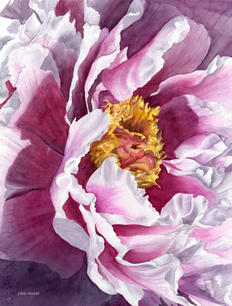 Closeup painting of a pink peony by Chris Sterritt of Scantic River Artisans in Western Mass