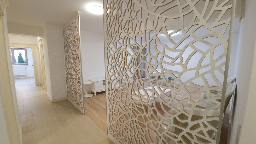Ansamblu Bucurestii Noi w20