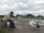 Darshan with a Pelican: Multiplicities