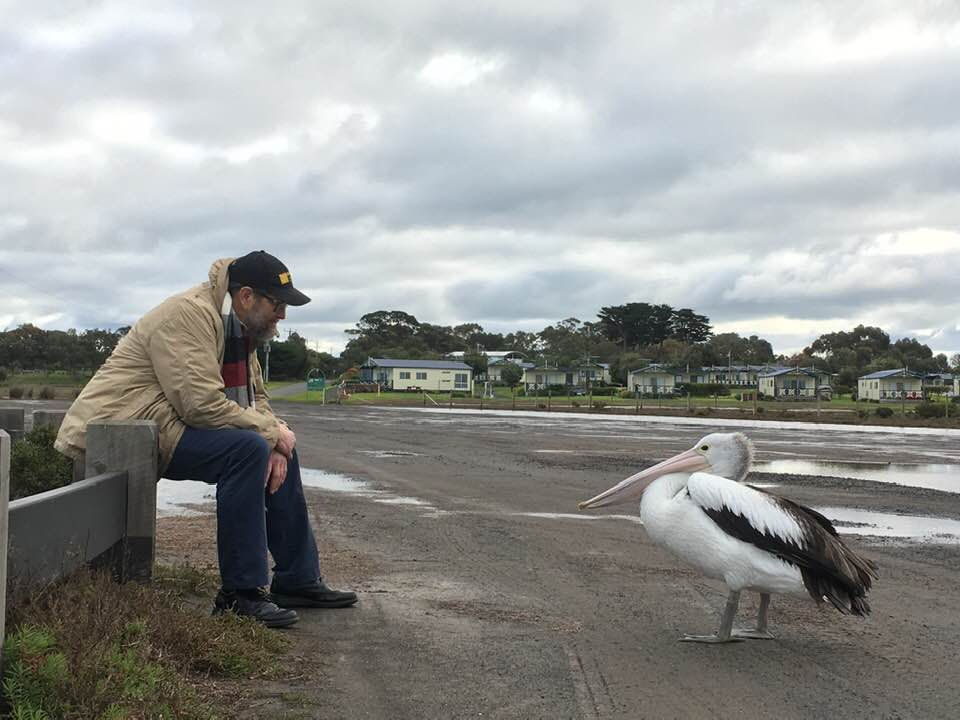Darshan with a Pelican: Multiplicities