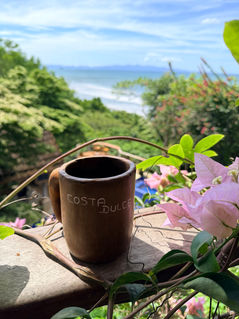 students doing yoga overlooking ocean, jungle hikes, turtle release, halloween bonfire, students gathering for meals and fun