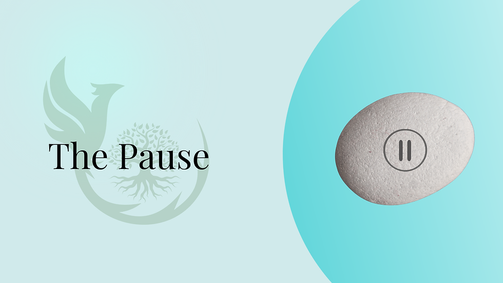 A stone with a pause sign in the middle. Text showing "The Pause" overlayed on the Thorp Advisory Logo.