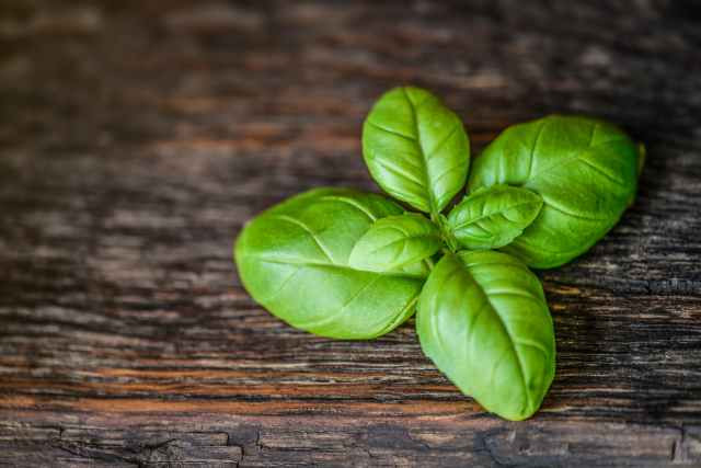 Home Remedies To Reduce Fever