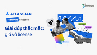 Chi Phí Và License Của Teamwork Collection