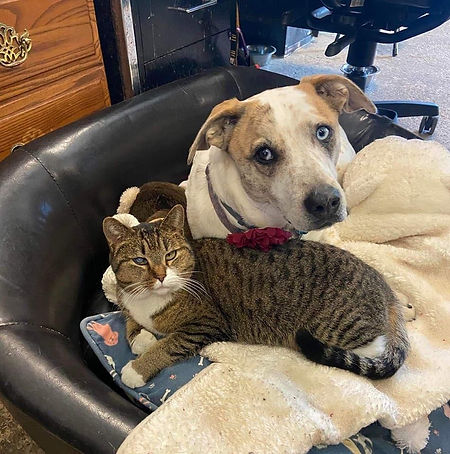 cherish and chloe.jpg