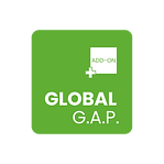 Página web Global Sustainable (21).png