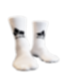 Saint Grip Socks