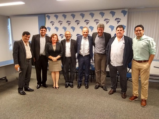 Diretoria da ANAMMA se reúne em Brasília