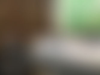 Presidente da ANAMMA faz pronunciamento no CONAMA