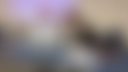 Diretoria Anamma debate o futuro do PROCONVE