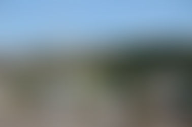 Municípios são convidados a participar de censo