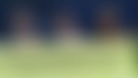 ONU Ambiente e Anamma na Alesp