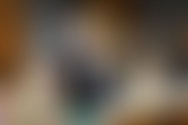 Campinas sedia o primeiro lançamento do IV EMDS na região Sudeste