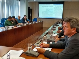 Diretoria ANAMMA participa da reunião do pré-Conama