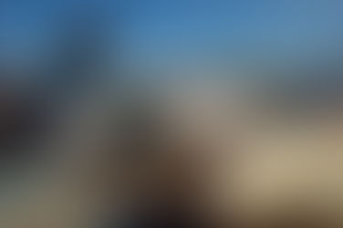 Tubarões e raias ameaçados de extinção são consumidos no Brasil