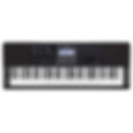 CASIO CT-X870IN