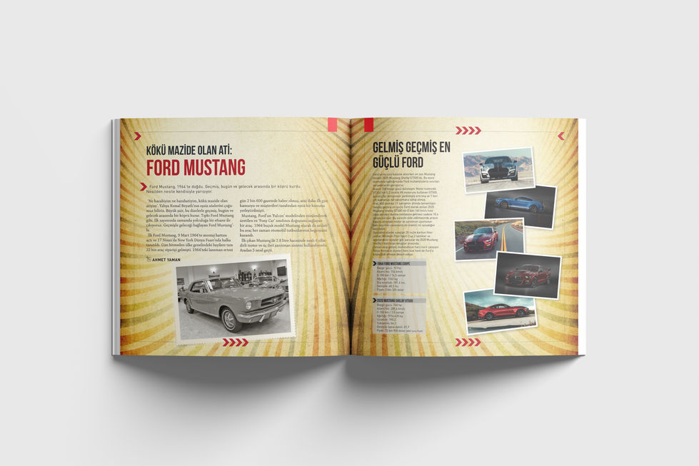 AUTOLOOK 4