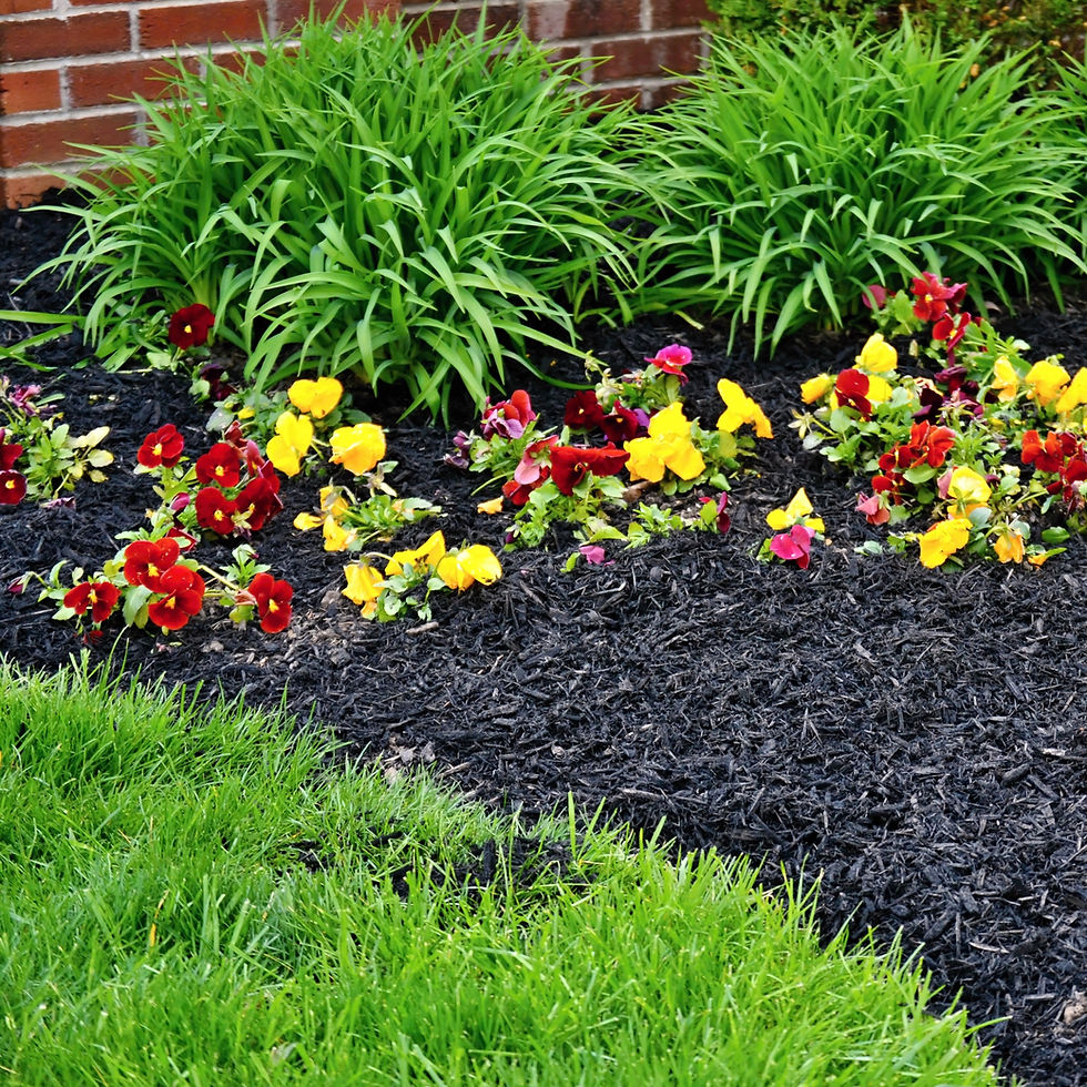 Thumbnail: GARDENWISE Premium Wood Mulch for Indoor, Patio, Potting Media, Gardens, Lawns