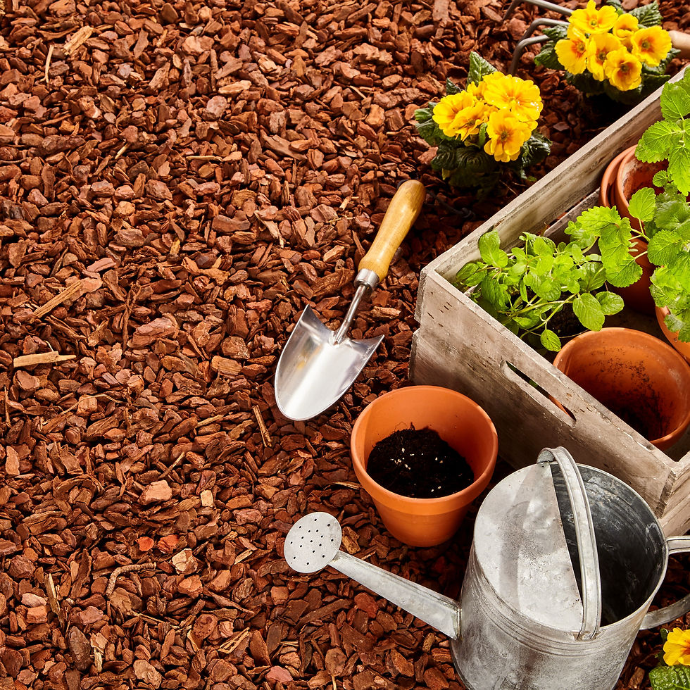 Thumbnail: GARDENWISE Premium Wood Mulch for Indoor, Patio, Potting Media, Gardens, Lawns