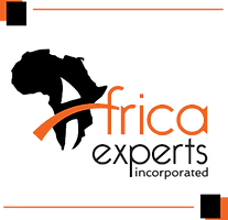 P Africa experts.png