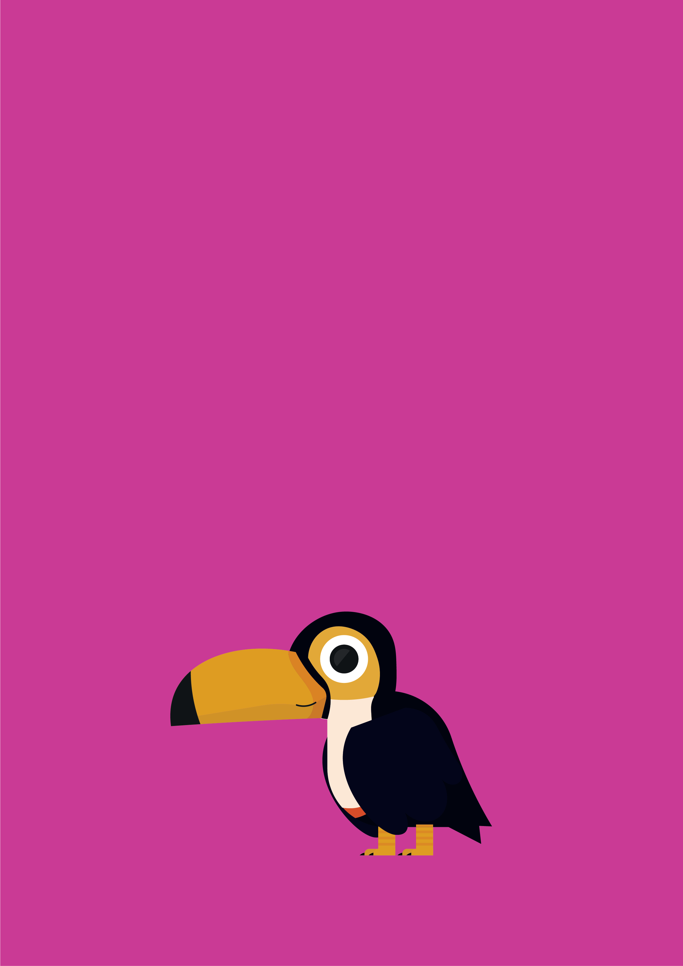 Tasha the Toucan Poster