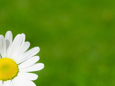 Blog: No one cares?
