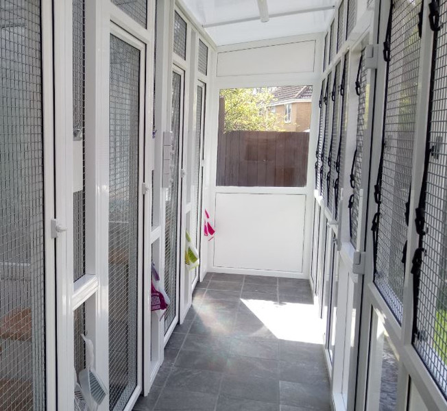 Precious Paws Cattery Kettering Boarding Cattery