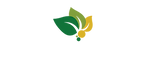 Amiztam logo (2).png