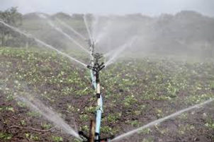 Hand Shift Irrigation
